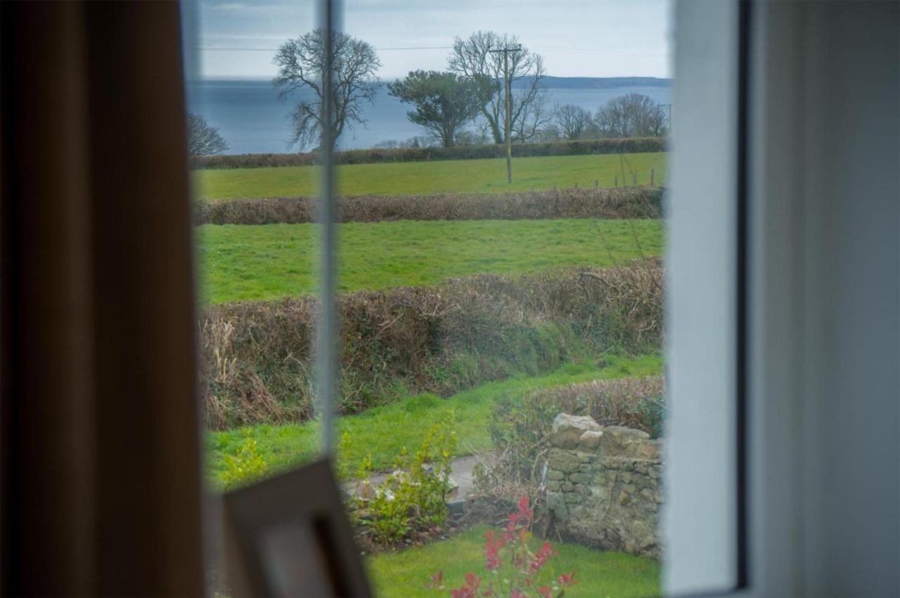 Elidyr Cottage - 3 Bedroom Cottage - Amroth Extérieur photo